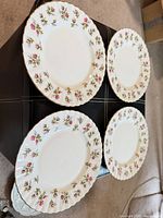 Four Winsome pattern plates on surface