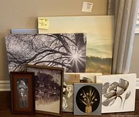 All prints grouped together showing variety of canvases and framed pieces