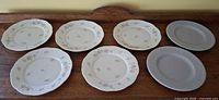 All seven dessert plates laid out showing fronts