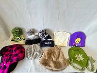 Group shot of assorted beanies showing color and style variety