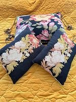 Group view of large tasselled pillow and two smaller pillows