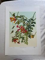 Full view of the print with white border and embossed chop marks visible