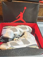 Pair of sneakers in box showing colorway and general condition