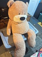 Full view of teddy bear seated on storage bin