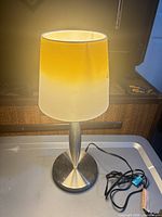 Full view of lamp illuminated showing shade damage and overall design