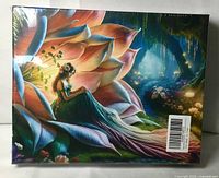 Front of sealed puzzle box showing fairy artwork