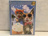 Front of sealed puzzle box showing artwork and branding