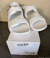 White rubber slide sandals with double buckles resting on original box