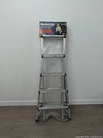 Full view of sealed Mastercraft telescopic ladder leaning against wall