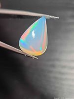 Pear cabochon opal held in tweezers showing play-of-color