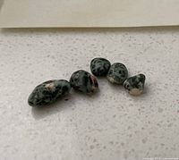 Five chlorastrolite stones on countertop