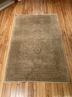 Full view of the rug displaying overall pattern and size