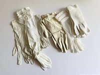 All six pairs of white and ivory ladies gloves displayed flat