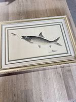 Full view of framed gyotaku print on floor