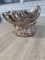 Side view showing shell form and coral pedestal