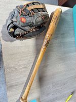 Full view of bat and glove on tabletop