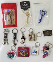 All 12 keychains laid out showing variety and condition