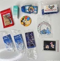 All items laid out: keychain pack, vanity kit, lanyards, button, magnets, luggage tags