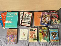 All 13 books laid out for overview