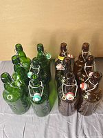 All 12 Fischer bottles grouped