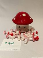 Coin bank front view with 18 mini mushroom caps