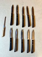 Overview of all eleven knives laid out showing blade style and handles