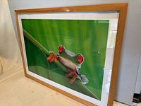 Angled view showing full framed print with frog subject and wood frame