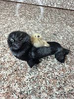 Front three-quarter view of black fur adult seal with cream pup on back