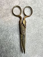 Full view of closed scissors showing overall form and size