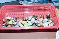 Red plastic basket containing 27 small Wade porcelain figurines of various animals and characters, displayed at an angle showing their size and finish.