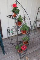 Tall black metal spiral plant stand with five triangular shelves, each holding terracotta pots with green leafy plants and red flowers, positioned on a wooden floor.