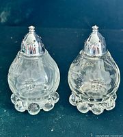 Front view of both shakers showing etched design and tops