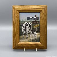 Front view of framed cow print