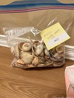 Clear Ziploc bag labeled shells, filled with assorted conch and small spiral shells