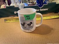 Common Loon wildlife mug front graphic