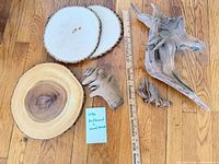 Overall lot with three wood slices, large driftwood, two smaller driftwood pieces, ruler for scale