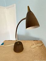 Full view of lamp showing gooseneck and base