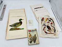Stack of loose bird prints, additional stack, pocket guide and ruler for scale