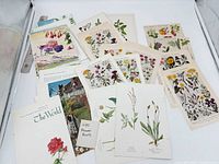 Group of assorted botanical and fruit prints spread out