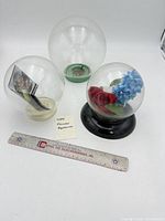 All three glass globes with bases and ruler for scale