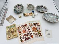 Group shot showing abalone shells, small shells, sand dollar packet, book and prints