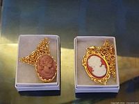 Both necklaces in boxes showing pendants and chains