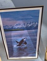 Signed Orca print framed and matted