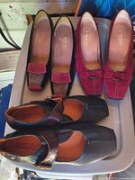 All three pairs on surface showing styles and colors
