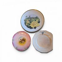 Front view of all three plates showing designs and sizes