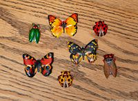 Front view of all seven insect pins on wood surface