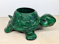 Full view of green ceramic turtle planter