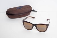 Sunglasses front view with hard case