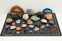 Overall view showing all specimens on measurement grid
