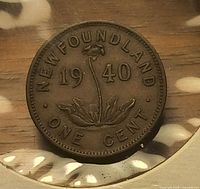 Reverse of 1940 Newfoundland one cent coin—pitcher plant design, date and legends visible